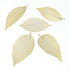 Brass Leaf Pendants, gold color plated, mixed, 70-77.5x32- Approx 