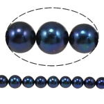 Round Cultured Freshwater Pearl Beads, natural, black, Grade AA, 9-10mm Approx 0.8mm Inch 