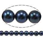 Perles de nacre rondes de culture d'eau douce, perle d'eau douce cultivée, naturel, noire, Niveau AA, 7-8mm Environ 0.8mm pouce, Vendu par brin