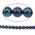 Round Cultured Freshwater Pearl Beads, natural, black, Grade AA, 8-9mm Approx 0.8mm Inch 