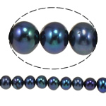 Perles de nacre rondes de culture d'eau douce, perle d'eau douce cultivée, naturel, noire, grade A, 7-8mm Environ 0.8mm pouce, Vendu par brin