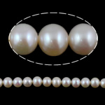 Perles de nacre rondes de culture d'eau douce, perle d'eau douce cultivée, naturel, rose, grade AAA, 7-7.5mm Environ 0.8mm .5 pouce, Vendu par brin