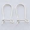 304 Stainless Steel Kidney Earwires, original color 