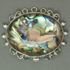 Shell Box Clasp, Abalone Shell, with Brass, Oval  & with rhinestone Approx 2.5mm 