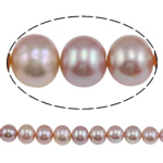 Perles de nacre rondes de culture d'eau douce, perle d'eau douce cultivée, naturel, violet, Niveau AA, 10-11mm Environ 0.8mm pouce, Vendu par brin