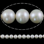 Round Cultured Freshwater Pearl Beads, natural, white, Grade AA, 9-10mm Approx 0.8mm Inch 