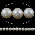 Round Cultured Freshwater Pearl Beads, natural, white, Grade A, 10-11mm Approx 0.8mm Inch 