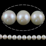 Perles de nacre rondes de culture d'eau douce, perle d'eau douce cultivée, naturel, blanc, Niveau AA, 11-12mm Environ 0.8mm pouce, Vendu par brin