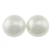 Half Drilled South Sea Shell Beads, Round, half-drilled nickel, lead & cadmium free Approx 0.5mm 