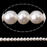 Perles de nacre rondes de culture d'eau douce, perle d'eau douce cultivée, naturel, blanc, Niveau AA, 2-2.5mm Environ 0.5mm .7 pouce, Vendu par brin