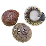 Perles en coquillage trompette, coquille de trompette, escargot, naturel, aucun trou, 12-15mm, Vendu par kg