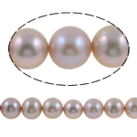 Round Cultured Freshwater Pearl Beads, natural, purple, Grade AAA, 9-10mm Approx 0.8mm Inch 