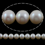 Perles de nacre rondes de culture d'eau douce, perle d'eau douce cultivée, naturel, blanc, Niveau AA, 8-9mm Environ 0.8mm pouce, Vendu par brin