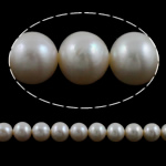 Perles de nacre rondes de culture d'eau douce, perle d'eau douce cultivée, naturel, blanc, Niveau AA, 10-11mm Environ 0.8mm pouce, Vendu par brin