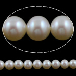 Perlas Redondas Freshwater, Perlas cultivadas de agua dulce, Esférico, natural, Blanco, Grado AA, 6-7mm, agujero:aproximado 0.8mm, longitud:15 Inch, Vendido por Sarta