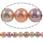 Perles de nacre rondes de culture d'eau douce, perle d'eau douce cultivée, naturel, multicolore, grade AAA, 9-10mm Environ 0.8mm pouce, Vendu par brin