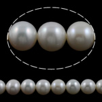 Perles de nacre rondes de culture d'eau douce, perle d'eau douce cultivée, naturel, blanc, année AAAA, 11-12mm Environ 0.8mm pouce, Vendu par brin