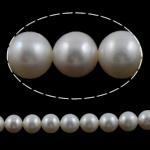 Round Cultured Freshwater Pearl Beads, natural, white, Grade AAA, 9-10mm Approx 0.8mm Inch 