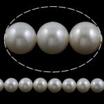 Perles de nacre rondes de culture d'eau douce, perle d'eau douce cultivée, naturel, blanc, grade AAA, 12-13mm Environ 0.8mm .5 pouce Vendu par brin
