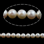 Perles de nacre rondes de culture d'eau douce, perle d'eau douce cultivée, naturel, blanc, grade AAA, 9-10mm Environ 0.8mm pouce, Vendu par brin