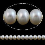 Perlas Botón Freshwater , Perlas cultivadas de agua dulce, natural, Blanco, Grado AAA, 7-8mm, agujero:aproximado 0.8mm, longitud:15 Inch, Vendido por Sarta