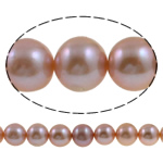 Round Cultured Freshwater Pearl Beads, natural, light purple, Grade AAA, 10-11mm Approx 0.8mm Inch 
