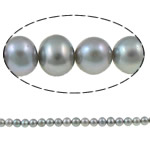Perles de nacre rondes de culture d'eau douce, perle d'eau douce cultivée, naturel, gris, grade A, 6-7mm Environ 0.8mm .7 pouce, Vendu par brin
