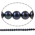 Round Cultured Freshwater Pearl Beads, natural, black, Grade A, 8-9mm Approx 0.8mm Inch 