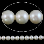 Perles de nacre rondes de culture d'eau douce, perle d'eau douce cultivée, naturel, blanc, année AAAA, 10-11mm Environ 0.8mm pouce, Vendu par brin