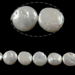 Бусины из искусственного пресноводного жемчуга в форме монеты, Пресноводные жемчуги, Плоская форма, натуральный, белый, 12-13mm, отверстие:Приблизительно 0.8mm, длина:15 дюймовый, продается Strand