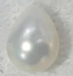 Halbgebohrte Muschel Perlen, Südsee Muschel, Tropfen, keine, 8x15mm, Bohrung:ca. 1mm, verkauft von Paar[