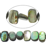 Abalone Shell Beads, Nuggets, 5-7x8-9x2.5-4mm Approx 16 Inch, Approx 