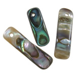 Abalone Muschel Anhänger, Seeohr Muschel, Rechteck, natürlich, 8-23mm, Bohrung:ca. 1mm, ca. 3740PCs/kg, verkauft von kg