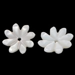 Natürliche weiße Muschelperlen, Blume, geschnitzt, 10x10x2.2mm, Bohrung:ca. 1mm, verkauft von PC
