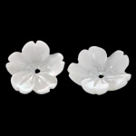 Natural White Shell Beads, Flower, Carved Approx 0.5mm 