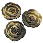 Schwarz Muschel Cabochon, Schwarze Muschel, Blume, geschnitzt, flache Rückseite, 23x23x2.5mm, verkauft von PC