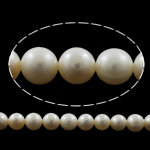 Round Cultured Freshwater Pearl Beads, natural, white, Grade A, 9-10mm Approx 0.8mm Approx 15.3 Inch 