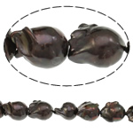 Perlas Cultivadas Nucleadas de Agua Dulce, Pepitas, natural, color café, 15-18mm, agujero:aproximado 0.8mm, longitud:aproximado 16.3 Inch, Vendido por Sarta