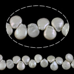 Perles de culture d'eau douce Keishi, perle d'eau douce cultivée, pièce de monnaie, naturel, blanc, 14-15mm Environ 0.8mm Environ 16.7 pouce, Vendu par kg