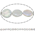 Coin Cultured Freshwater Pearl Beads, Lt grey, Grade AA, 10-11mm Approx 0.8mm Approx 15 Inch 