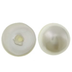 La mitad perforado de la perla de  concha del Mar del Sur, Nácar de mar del sur, Redondo aplanado, perforado medio, más colores para la opción, libre de níquel, plomo & cadmio, 8x4.5mm, agujero:aproximado 1mm, Vendido por Par