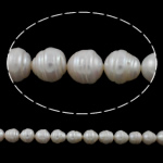 Button Cultured Freshwater Pearl Beads, Teardrop, natural, white, 11-12MM Approx 0.8mm Approx 15.7 Inch 