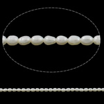 Perlas Arroz Freshwater, Perlas cultivadas de agua dulce, natural, Blanco, Grado A, 2-2.5mm, agujero:aproximado 0.8mm, longitud:aproximado 15 Inch, Vendido por Sarta