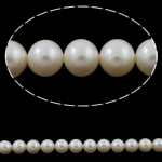 Perles de nacre rondes de culture d'eau douce, perle d'eau douce cultivée, naturel, blanc, grade AAA, 8-9mm Environ 0.8mm Environ 15.5 pouce, Vendu par brin