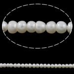 Perlas Botón Freshwater , Perlas cultivadas de agua dulce, natural, Blanco, Grado AA, 5-6mm, agujero:aproximado 0.8mm, longitud:aproximado 15.5 Inch, Vendido por Sarta