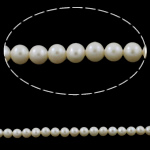 Round Cultured Freshwater Pearl Beads, natural, white, Grade AA, 6-7mm Approx 0.8mm Approx 15.5 Inch 