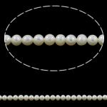 Perlas Redondas Freshwater, Perlas cultivadas de agua dulce, Esférico, natural, Blanco, Grado AA, 3-4mm, agujero:aproximado 0.8mm, longitud:aproximado 15.5 Inch, Vendido por Sarta