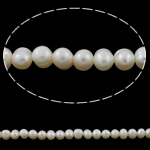 Perlas Patata Freshwater, Perlas cultivadas de agua dulce, natural, Blanco, Grado A, 5-6mm, agujero:aproximado 0.8mm, longitud:aproximado 14 Inch, Vendido por Sarta