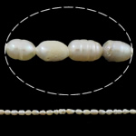 Perles d'eau douce de culture de riz, perle d'eau douce cultivée, naturel, blanc, grade A, 3-4mm Environ 0.8mm Environ 14.5 pouce, Vendu par brin