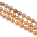 Round Cultured Freshwater Pearl Beads, natural, mixed, mixed colors, 10-11mm Approx 0.8mm Approx 15 Inch 